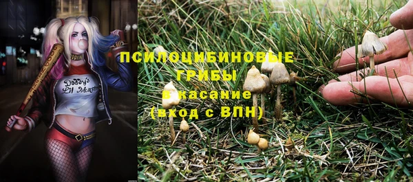 герыч Богородицк